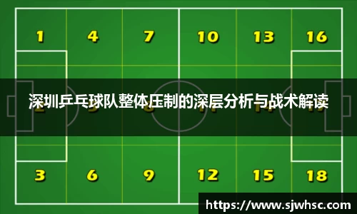 深圳乒乓球队整体压制的深层分析与战术解读